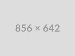 feature-item-23.webp